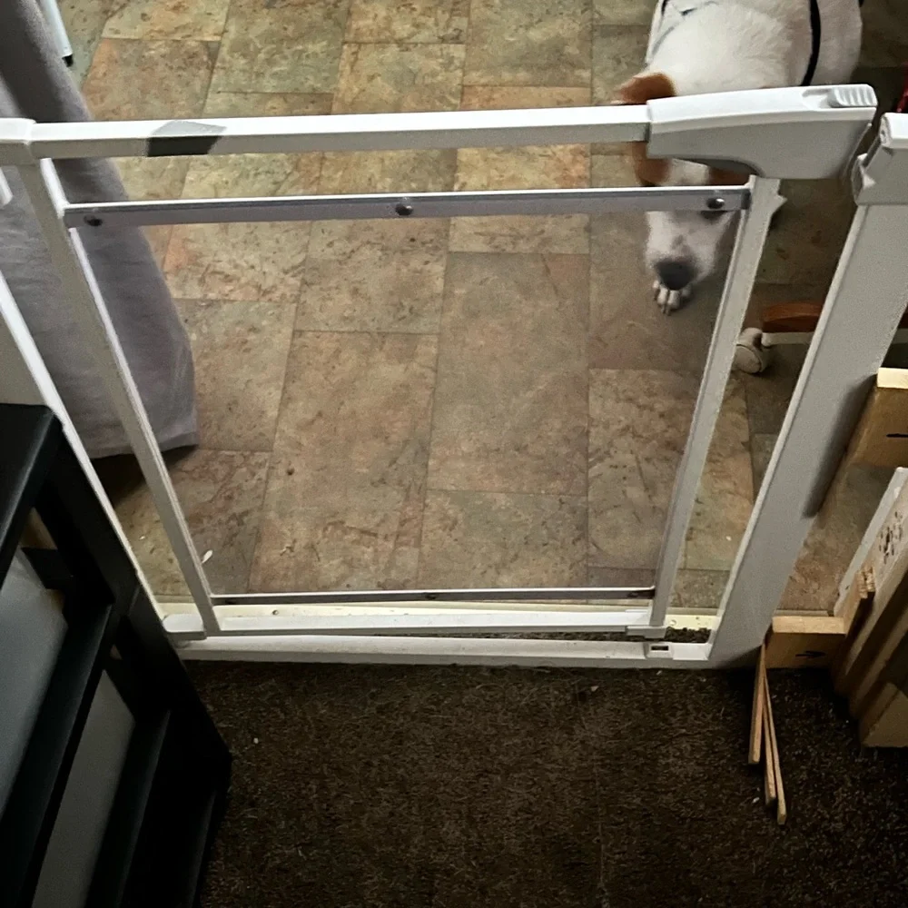 Babelio Acrylic Extra wide walk thru gate